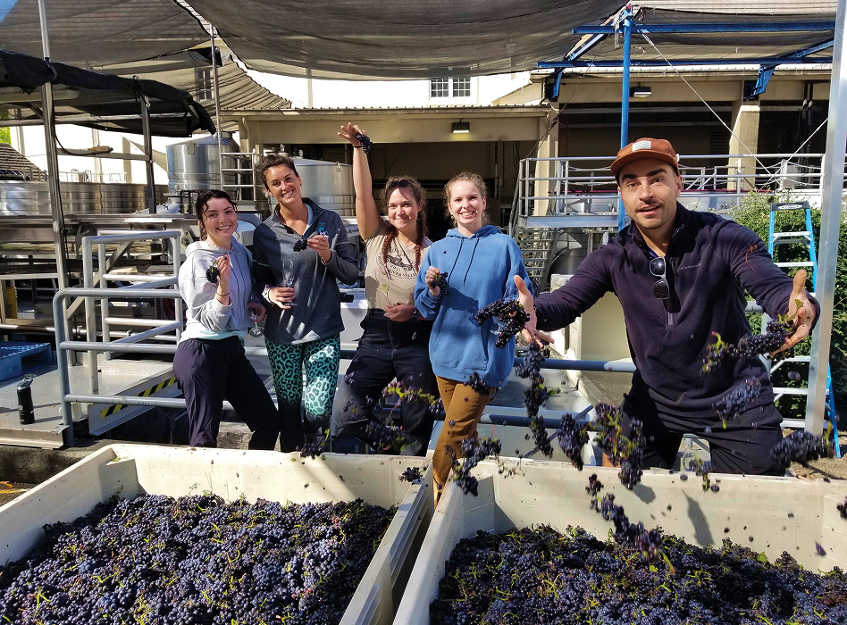 Workers at Hartford winery